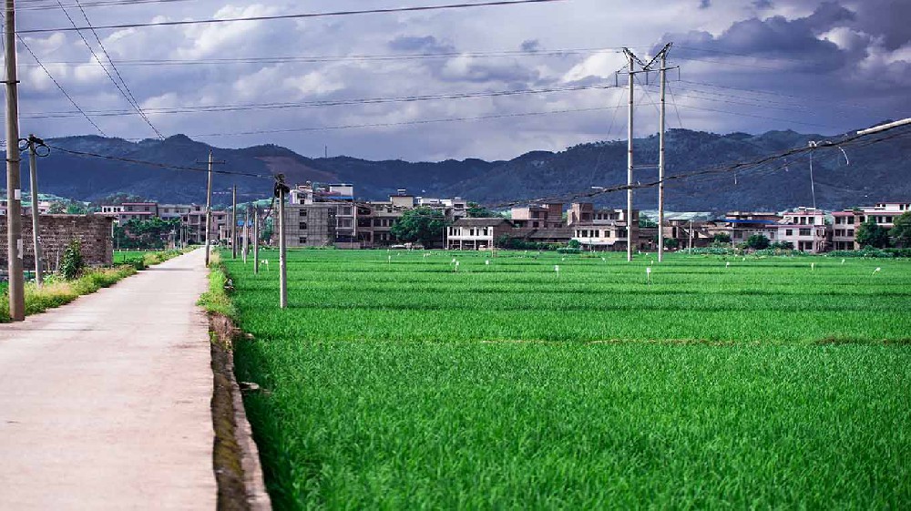 內蒙古鄉村沃畉農業服務購入來因科技土壤檢測儀器